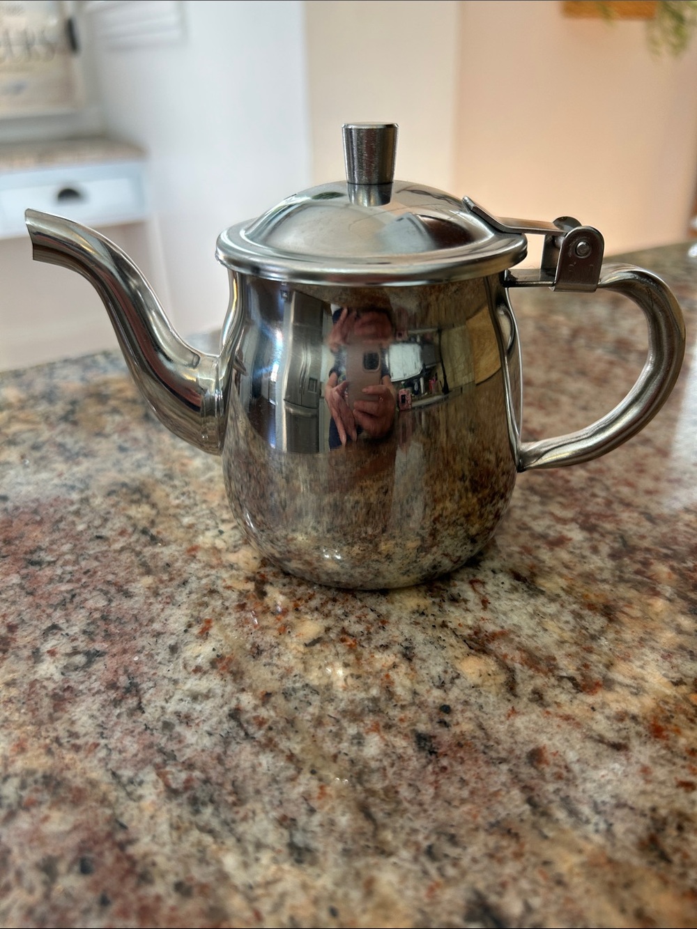 Ace Individual Stainless Steel Teapot - Silver Finish